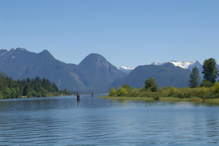 Paddlewheeler Scenic Pitt Lake Cruise Views 001
